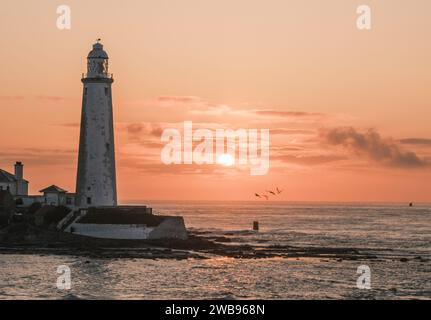 Splendida alba dietro il faro di St. Marys, nel nord-est dell'Inghilterra, mentre sorvola un gregge di gabbiani Foto Stock