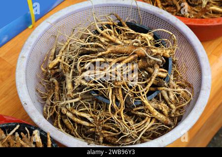 Radice di ginseng medicina tradizionale coreana prodotto naturale. Impianto medicale nel mercato di Jeonju Nambu. Foto Stock