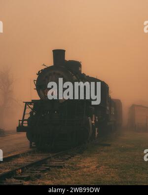 Un treno d'epoca che si snoda attraverso un paesaggio rurale poco appannato Foto Stock