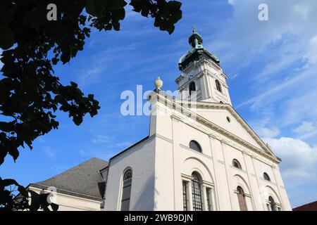 Cattedrale Basilica dell'Assunzione della Madonna a Gyor, Ungheria. Foto Stock