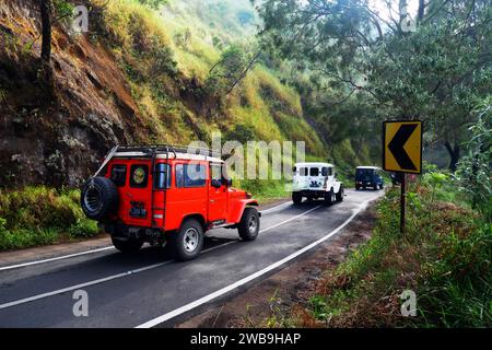 Colorate auto fuoristrada nelle montagne Bromo, Giava Orientale, Indonesia Foto Stock