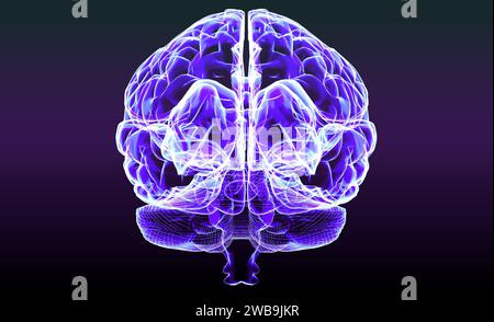 Sezione di un cervello vista in profilo, parti del cervello. Malattie degenerative, Parkinson, sinapsi, neuroni, Alzheimer Anatomia umana, scansione cerebrale Foto Stock