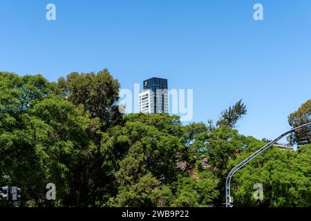 Splendida vista degli edifici e dei grattacieli della città, vicino al parco nella città di Buenos Aires Foto Stock