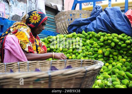 Verdure di zucca fresche e verdi, pronte per la vendita sul mercato. Foto Stock