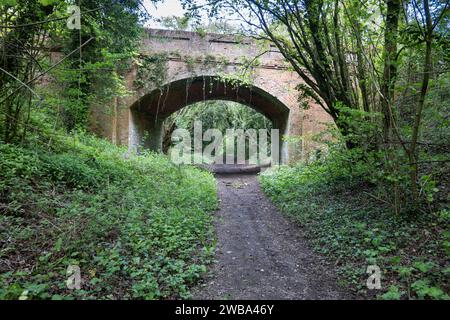 Ponte sulla linea ferroviaria dismessa Didcot to Southampton guardando a nord, Old Burghclere, Hampshire, Inghilterra, Regno Unito Foto Stock