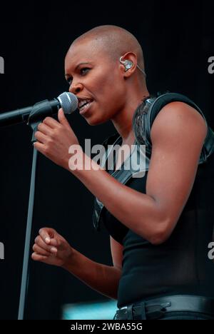 Skunk Anansie, V2010, Hylands Park, Chelmsford, Essex, Regno Unito - 22 agosto 2010 Foto Stock