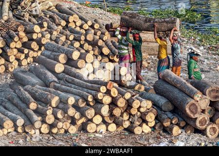 I portatori trasportano tronchi pesanti sulle rive del fiume Buriganga a Dacca in Bangladesh Foto Stock