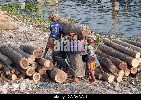 I portatori trasportano tronchi pesanti sulle rive del fiume Buriganga a Dacca in Bangladesh Foto Stock