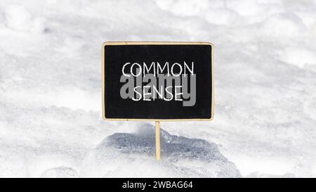 Simbolo di buon senso. Parole di concetto Common Sense su una bellissima lavagna a gesso nero. Bellissimo sfondo bianco di neve. Neve bianca. Affari, motivazione Foto Stock