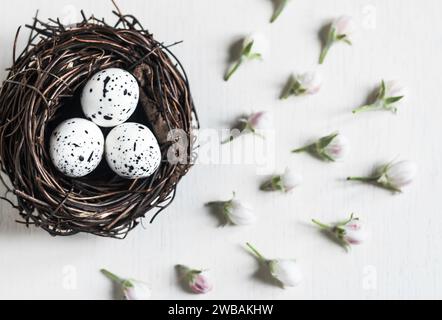 Nido d'uccello con uova e boccioli di mela in fiore su sfondo bianco Foto Stock