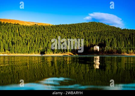 Lago Bolboci, montagne Bucegi, Romania Foto Stock