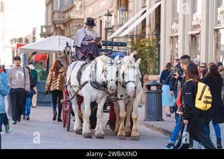 Giro in carrozza trainata da cavalli a Firenze Italia Foto Stock