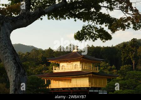 I tramonti su Kinkaku-ji, il tempio d'oro, a Kyoto, Giappone, ottobre 2023. La vista e' una delle piu' popolari attrazioni turistiche in Giappone. Foto Stock