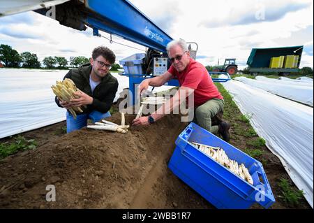Spargelbauer Mönich 24.05.2022 Griesheim die Menschen kaufen weniger Spargel. Besuch beim Spargelhof Mönich. Im Bild: Spargelfeld mit Folie überdeckt l-r Tarik Mönich 31 und Papa Bodo Mönich 63. Griesheim Griesheim Hessen Germania *** Asparagus Farmer Mönich 24 05 2022 Griesheim People are buying less asparagi Visit to the Mönich asparagi farm in picture Asparagus Field covered with foil l r Tarik Mönich 31 and dad Bodo Mönich 63 Griesheim Griesheim Hessen Germany Foto Stock