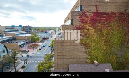 Aerial Autumn Ivy on Brick Building, Urban Street View Foto Stock