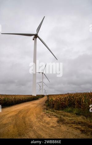 Una linea di turbine eoliche circondate da campi di mais. Foto Stock