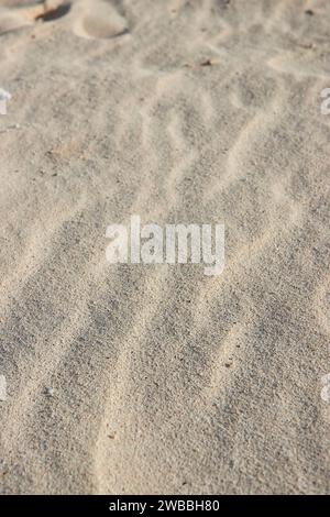 Primo piano di Sandy Beach texture - Bahamas Paradise Island Foto Stock
