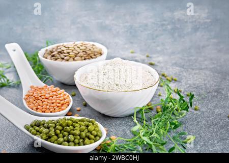 Farina di lenticchie in ciotola, lenticchie rosse e verdi in cucchiai, brune in ciotola, gambi di fagioli con foglie su fondo di pietra Foto Stock
