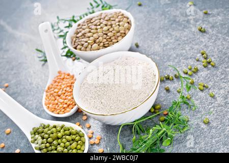 Farina di lenticchie in una ciotola, lenticchie rosse e verdi in cucchiai, marrone in ciotola, gambi di fagioli con foglie su fondo di pietra grigia Foto Stock