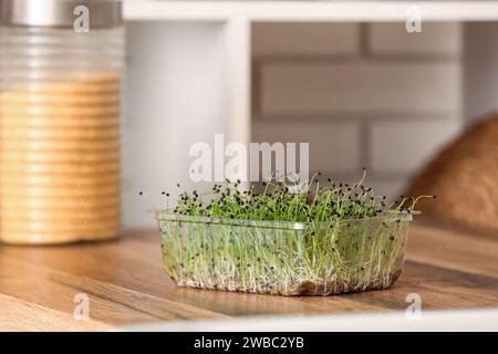 Contenitore in plastica con micro verde fresco sul tavolo in cucina Foto Stock