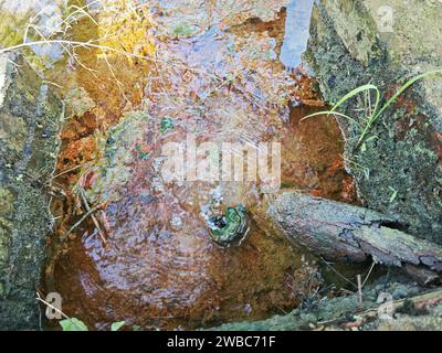 le perdite d'acqua dal terreno sono diventate torbide quando mescolate con il drenaggio. Foto Stock