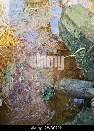 le perdite d'acqua dal terreno sono diventate torbide quando mescolate con il drenaggio. Foto Stock