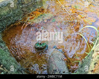 le perdite d'acqua dal terreno sono diventate torbide quando mescolate con il drenaggio. Foto Stock