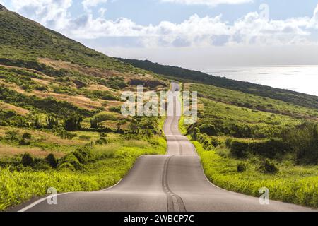 Strada tortuosa attraverso i lussureggianti paesaggi di Maui in una giornata limpida. Foto Stock