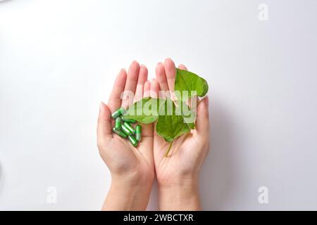 Palme da donna con capsule pillole e menta di pesce fresco su sfondo bianco. La menta di pesce è una medicina naturale antinfiammatoria e antibatterica Foto Stock