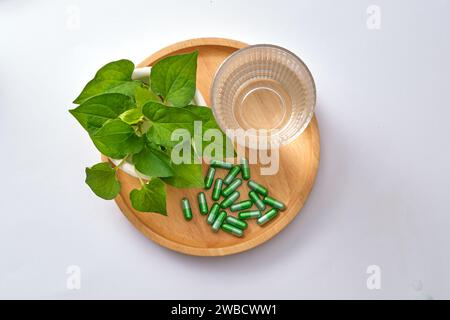 Sfondo creativo minimale per la presentazione di cosmetici o prodotti con foglie di menta di pesce fresco, capsule e tazza di vetro esposte su vassoio rotondo di legno Foto Stock