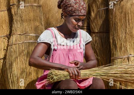 lavoro manuale di donne africane del villaggio, all'aperto in una giornata di sole nel campo, produzione di fasci di paglia Foto Stock