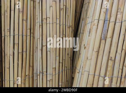 Rotoli per recinzione da giardino costruiti con wattle. Messa a fuoco selettiva Foto Stock