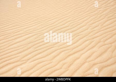 sognare in oman Foto Stock