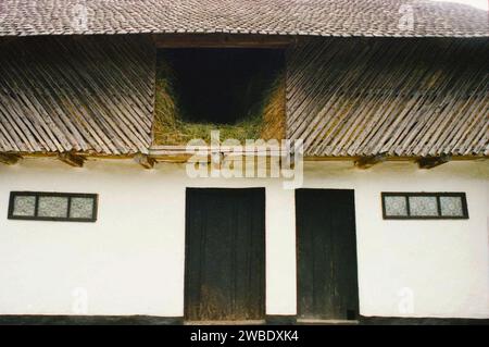 Fienile con fienile nella contea di Vrancea, Romania, circa 1999. Foto Stock