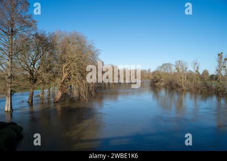 Windsor, Berkshire, Regno Unito. 10 gennaio 2024. Parti dei terreni del Castello di Windsor e della Crown Estate a Windsor, Berkshire, rimangono inondate dopo che il Tamigi scoppiò le sue rive. Un allarme alluvione rimane in atto per il Tamigi a Windsor. Credito: Maureen McLean/Alamy Live News Foto Stock