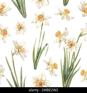 Motivo ad acquerello su sfondo bianco con bellissimi narcisi gialli. Illustrazione per le vacanze di Pasqua disegnata a mano. Schizzo su sfondo isolato per gr Foto Stock