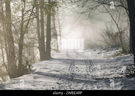 Una bellissima via wlka o una pista da corsa per le persone vicino a un fiume nella mia città natale, Gornja Radgona, in Slovenia. La foto è stata scattata con un freddo dec Foto Stock