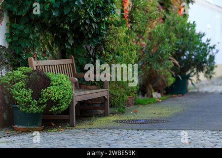 Una bella panchina vuota in un moderno giardino cittadino in europa. Il paesaggio presenta un albero, cespugli, altre piante verdi e pavimentazione. Foto Stock