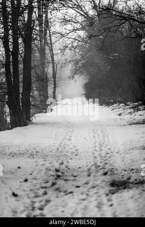 Una bellissima via wlka o una pista da corsa per le persone vicino a un fiume nella mia città natale, Gornja Radgona, in Slovenia. La foto è stata scattata con un freddo dec Foto Stock