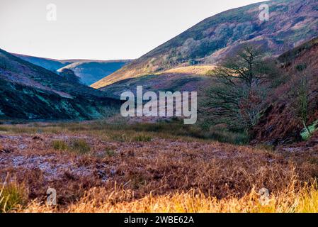 Landgen e Sykes Fell, Dunsop Bridge, Lancashire. Foto Stock