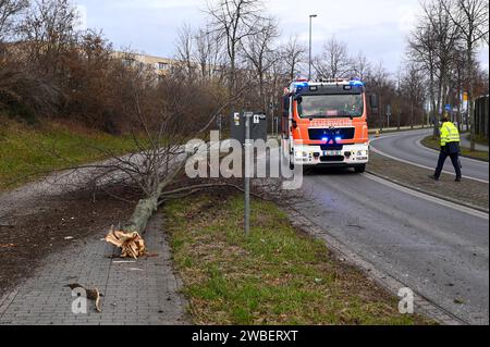 Lipsia - Audi kommt von B87 ab, fällt Baum und kracht in Elektrokasten - ein Schwerverletzter 07.01.2024 gegen 13 Uhr Leipzig, Adenauerallee B87 Zu einem schweren Unfall kam es am Sonntagmittag gegen 13 Uhr auf der Adenauerallee B87 a Lipsia. Nach ersten Angaben der Polizei War der Fahrer eines Audis auf der B87 stadteinwärts unterwegs, als er vermutlich aufgrund zu hoher Geschwindigkeit in einer leichten Linkskurve nach rechts abkam, einen dicken Baum am Straßenrand fällte und anschließend gegen einen Elektrokasten knallte. Der Fahrer wurde schwer verletzt und kam mit dem Rettungsdienst in Foto Stock