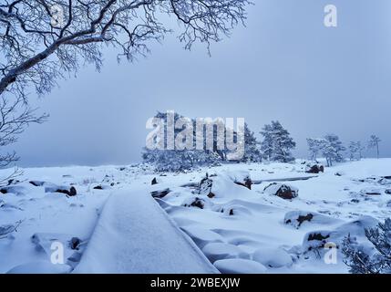 Una tempesta invernale panoramica nell'arcipelago finlandese a gennaio Foto Stock