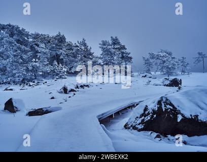Una tempesta invernale panoramica nell'arcipelago finlandese a gennaio Foto Stock