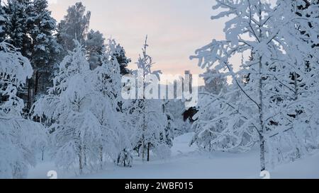 Il fiume con neve in esso e una foresta vicino coperta di neve in inverno in Svezia Foto Stock