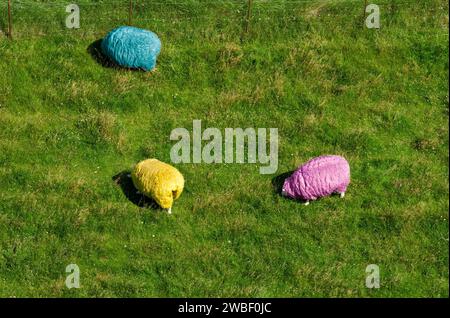 Tre pecore o pecore domestiche (Ovis gmelini aries) con lana dai colori vivaci (colori RGB: Blu, ciano, giallo, rosso, magenta) dall'alto su un colore verde Foto Stock