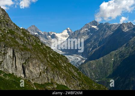 Stretta valle di montagna con ghiacciaio Fiescher e Finsteraarhorn, Alpi Bernesi, Vallese, Svizzera Foto Stock