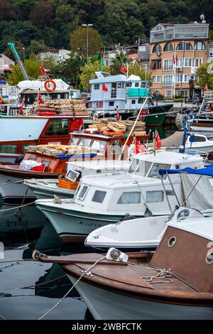 Barche da pesca, Sariyer, vicino a Istanbul, Turchia Foto Stock