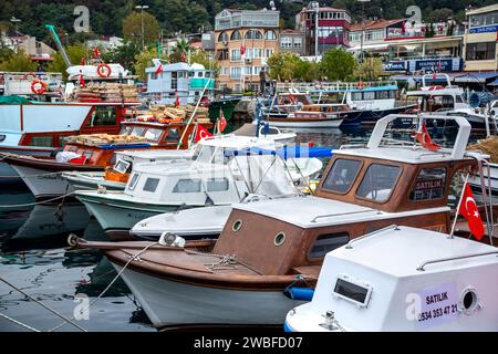 Barche da pesca, Sariyer, vicino a Istanbul, Turchia Foto Stock