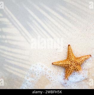 Banner astratto per le vacanze tropicali estive; spiaggia sabbiosa e onda sul bordo di acqua limpida, stelle marine sulla sabbia; banner di concetto per le vacanze estive con c Foto Stock