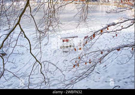 Tavolo e sedia ricoperti di neve in un bianco paesaggio invernale Foto Stock